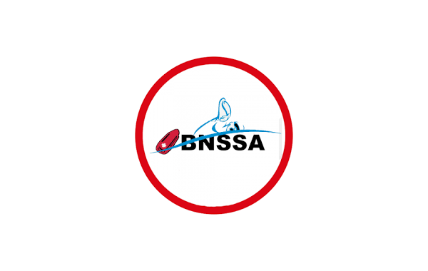 La commune finance la formation BNSSA pour recruter un surveillant de baignade – Candidatures ouvertes !